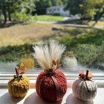 Mini Christmas Light Set